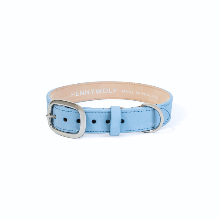 Signature Two-Tone Luxury Leather Dog Collar - 'Powder Blue'