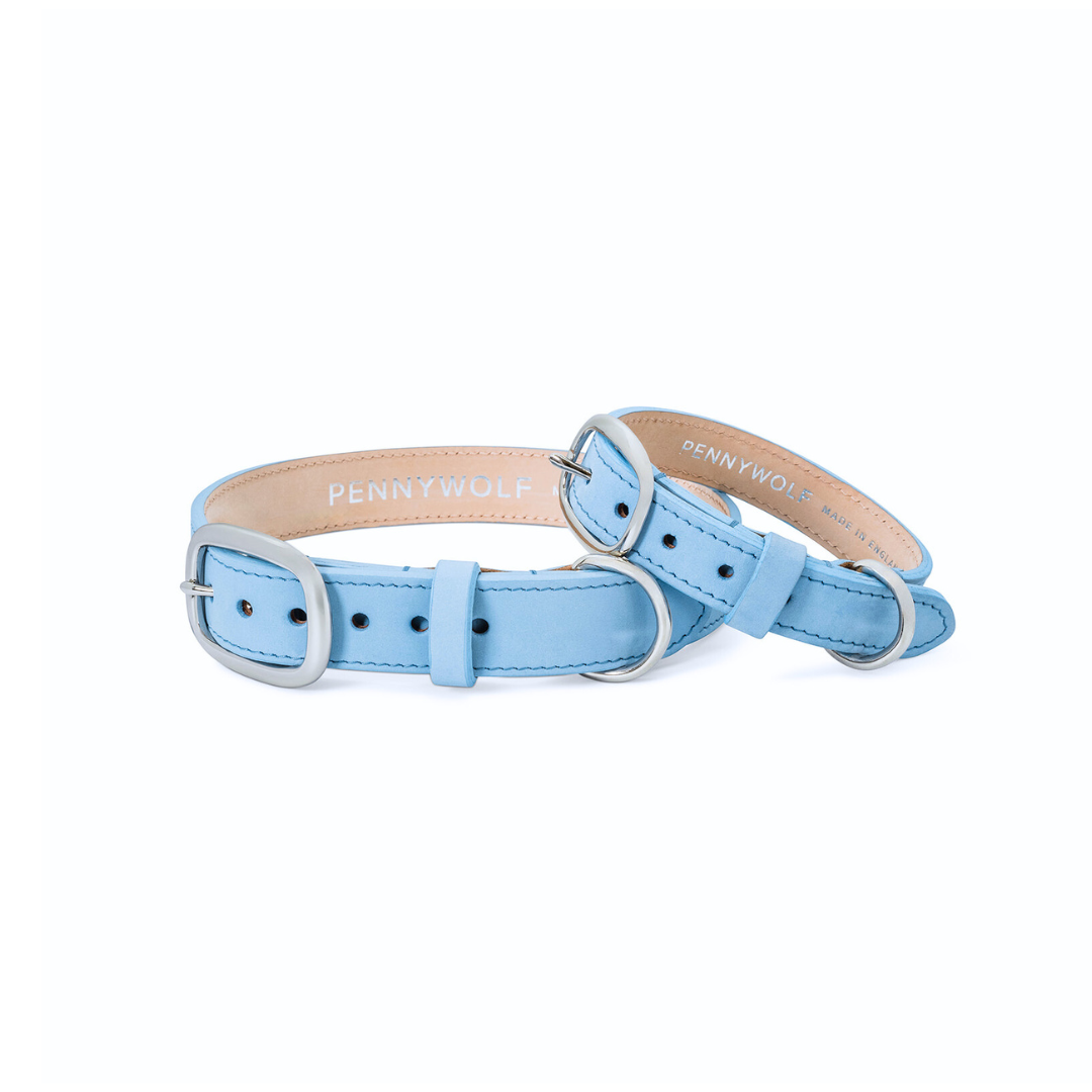 Signature Two-Tone Luxury Leather Dog Collar - 'Powder Blue'