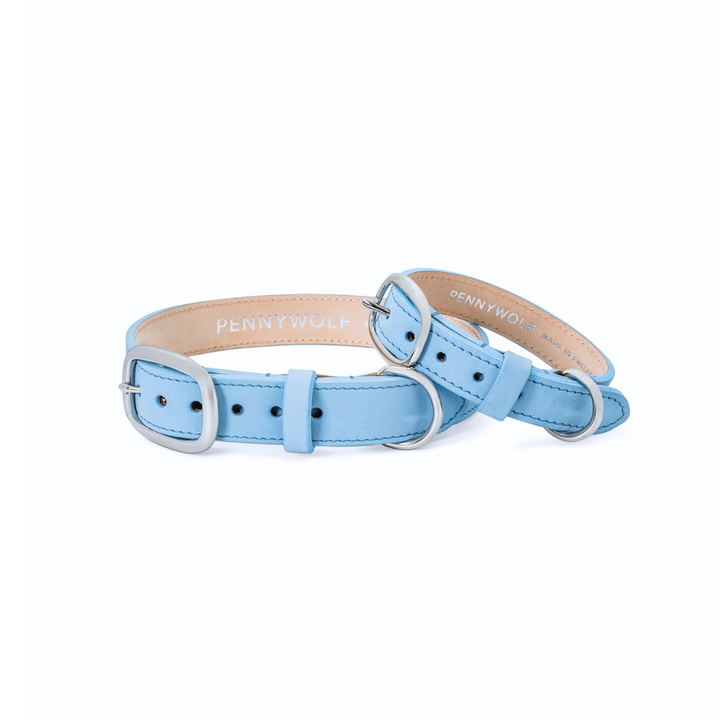 Signature Two-Tone Luxury Leather Dog Collar - 'Powder Blue'