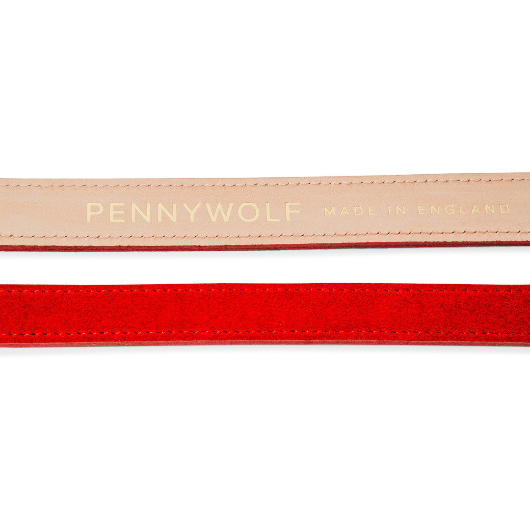 Red Leather Dog Leads
