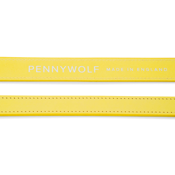 Yellow Leather Dog Leads