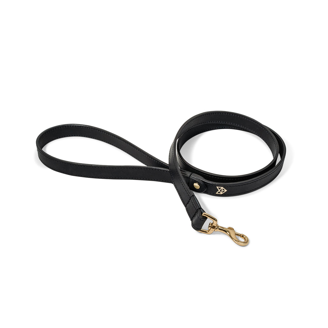 Black Leather Dog Lead