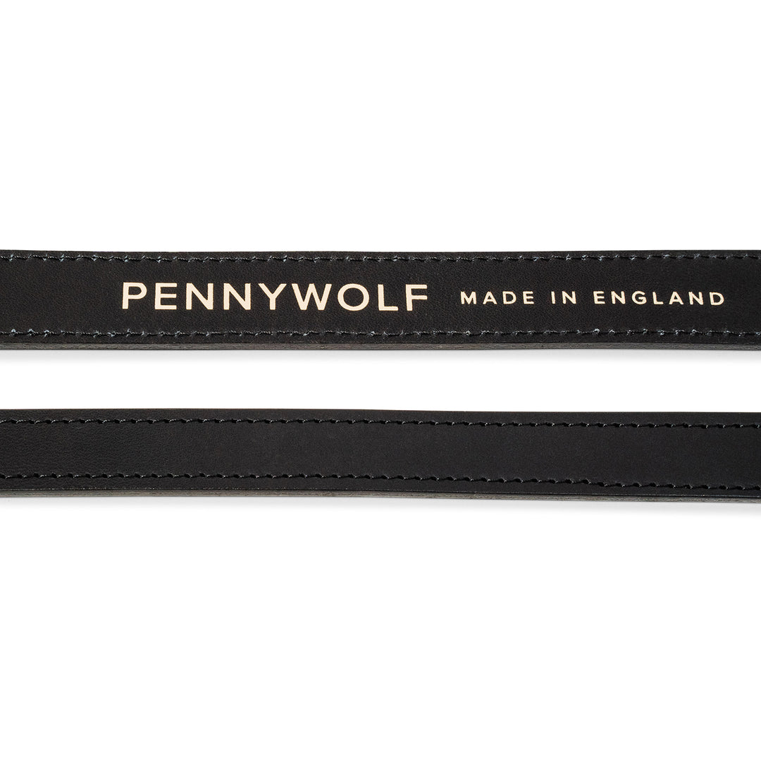 Black Leather Dog Leads