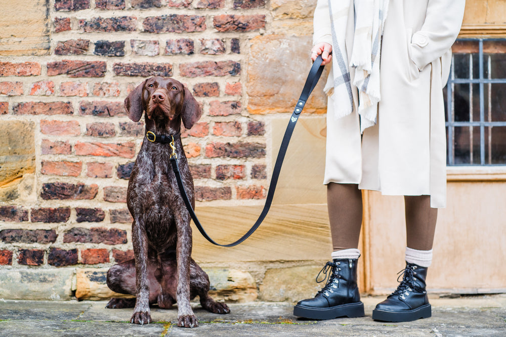Black Leather Dog Lead and Black Leather Dog Collar